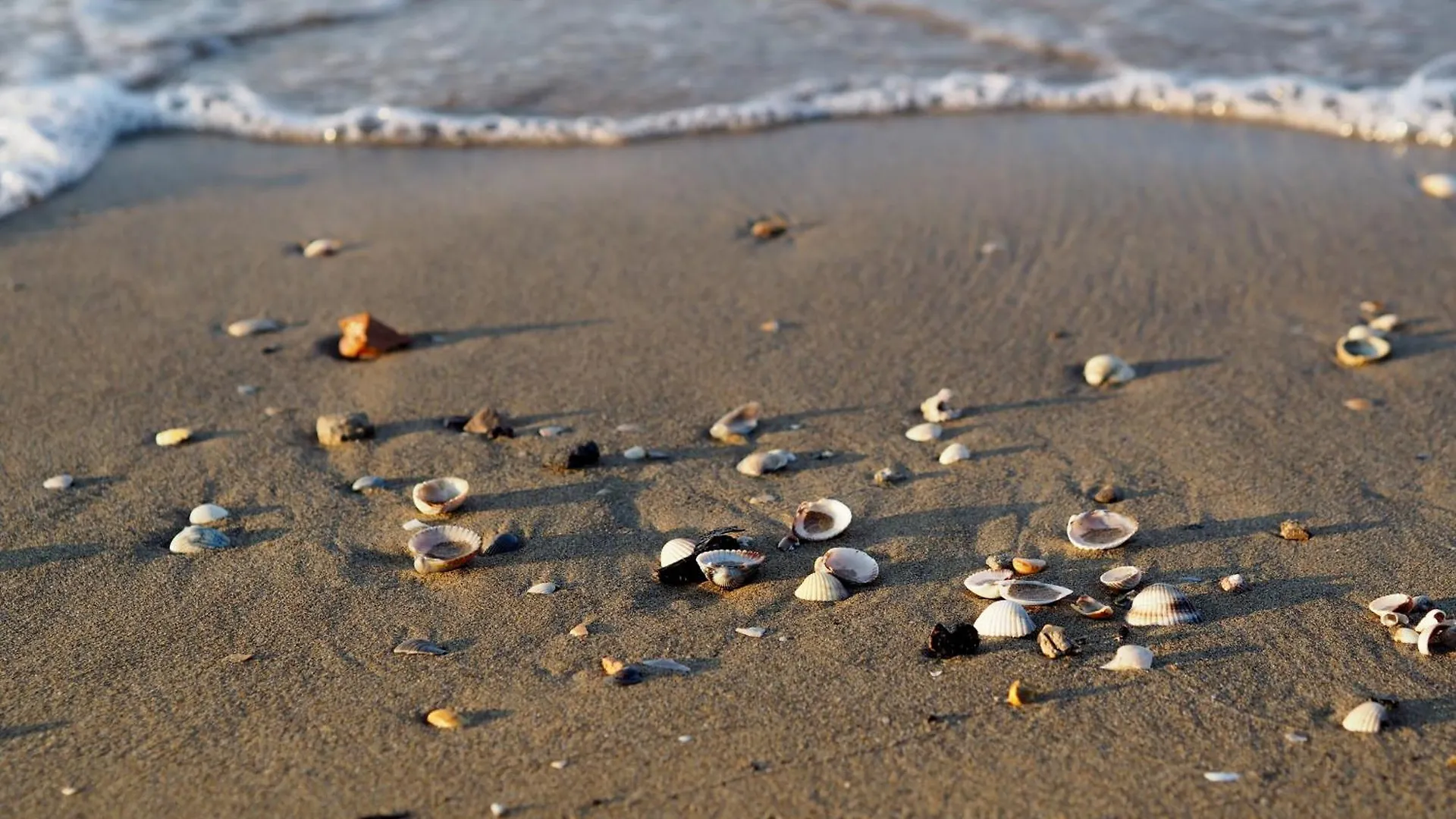 Renewed Flat With Seaview - Beahost Apartment Bibione Italy